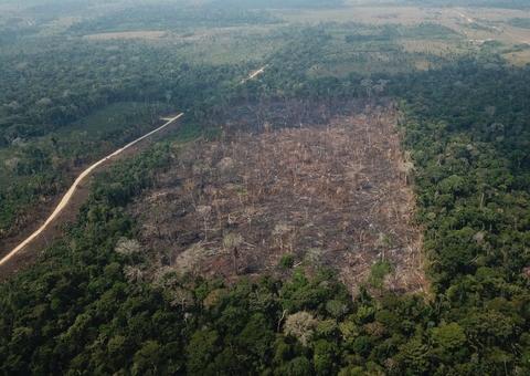 Amazonas aparece pela 2ª vez como região em alerta de desmatamento em apenas um ano