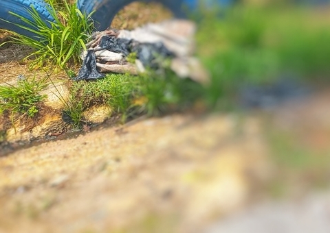 Corpo esquartejado é encontrado dentro de sacos de lixo em rua de Manaus