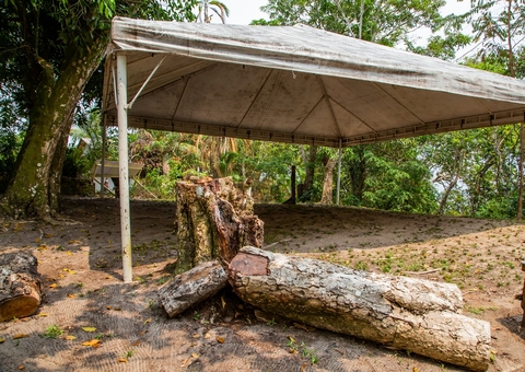 Denúncia: crime ambiental na Vila do Paricatuba