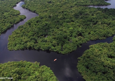 Celebração à Floresta Amazônica, nosso maior patrimônio