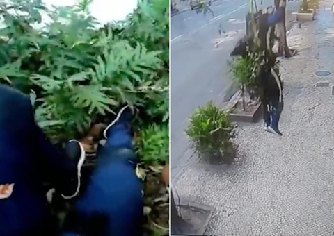 Vídeos mostram paraquedistas caindo após serem atingidos por rajadas de vento