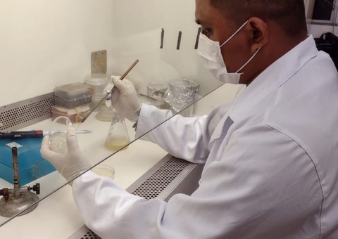 Pesquisa mostra que bactérias amazônicas podem controlar mosquitos transmissores da dengue e malária