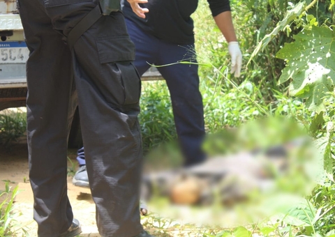 Com marca de tiro, corpo é encontrado apodrecendo em área de mata em Manaus