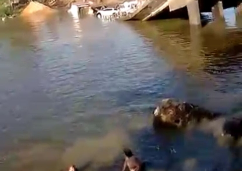 Vídeo mostra vítimas saindo do rio após ponte desabar na BR-319 no Amazonas