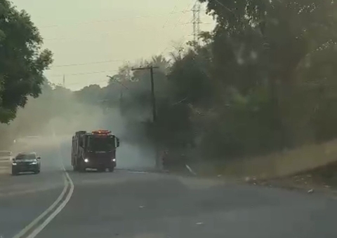 Fogo atinge área de vegetação em Manaus 