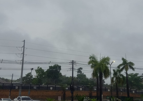 Árvore tomba em telhado e igarapé transborda e água invade casa durante temporal em Manaus