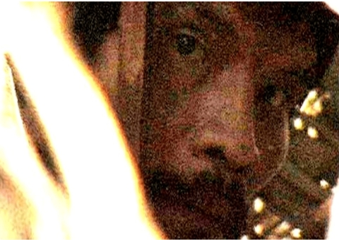 Coiab aciona MPF para cobrar da Funai enterro do 'homem do buraco da etnia Tanaru' 