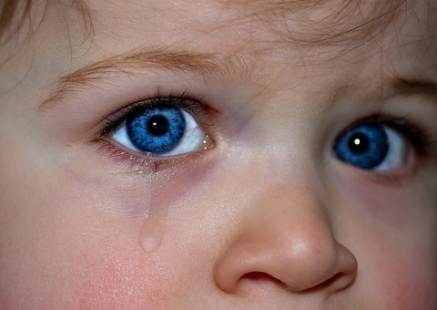 Ser humano é único animal a produzir lágrimas emocionais; saiba por quê