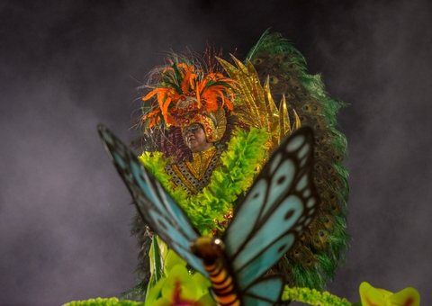 Consulta pública do edital do Carnaval 2023 é prorrogada em Manaus