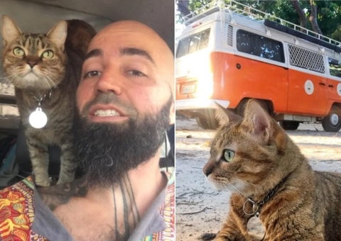 Turista brasileiro morto por bloco de gelo na Argentina viajava de Kombi com gata
