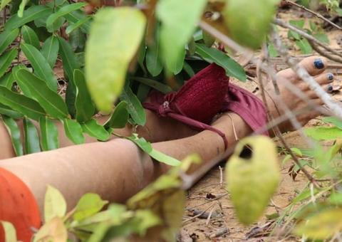 Mulher é achada amordaçada e com pés amarrados com sutiã em Manaus