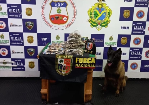 Drogas avaliadas em R$ 75 mil são encontradas em barco no Amazonas