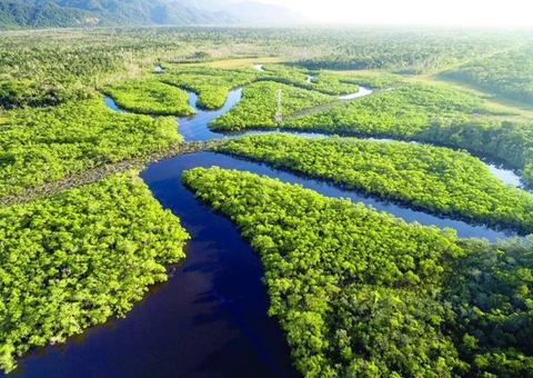 COP30 na Amazônia, eu acredito!