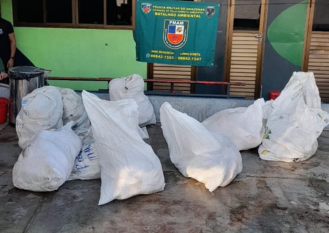 Carga de pirarucu ilegal avaliada em R$ 97 mil é apreendida no Amazonas