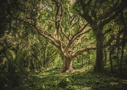 Três fetiches estranhos que você pode ter e não sabe; o último é surpreendente