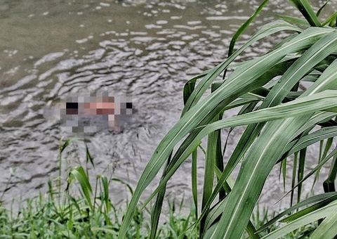 Homem é achado morto boiando em igarapé em Manaus