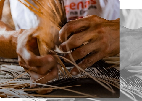 Programa de incentivo à bioeconomia já recebeu R$ 26 milhões de recursos para projetos no Amazonas