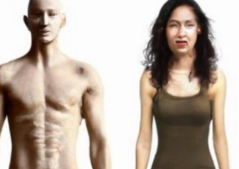 Humanos não terão genitália no futuro, prevê software com inteligência artificial