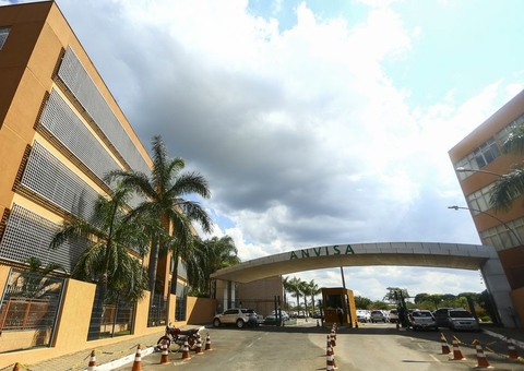 Anvisa autoriza plantio de cannabis para pesquisa pela 1ª vez