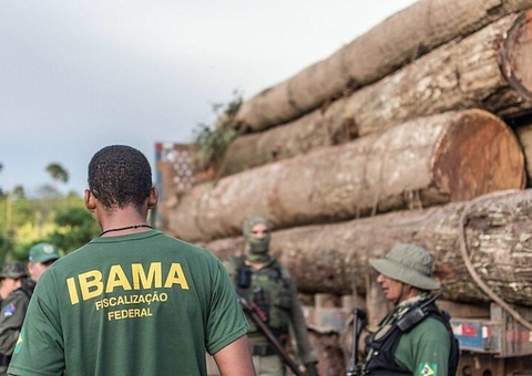 Associação contesta norma da Funai que autoriza exploração de madeira em terras indígenas