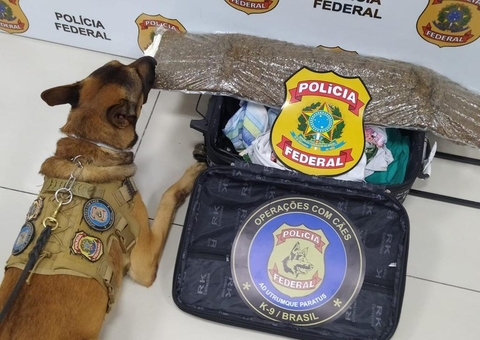 Mulher é presa no aeroporto de Fortaleza com mala recheada de drogas vindas de Manaus