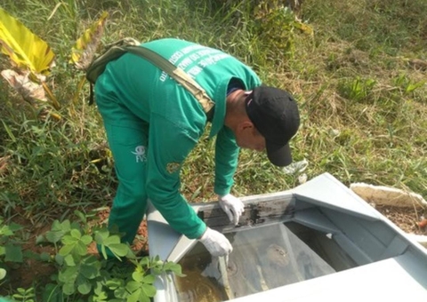 Amazonas registra 2 mortes e mais de 3 mil notificações por dengue