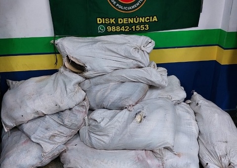Polícia apreende 500 kg de pescado ilegal, avaliado em R$ 8 mil, em Manaus