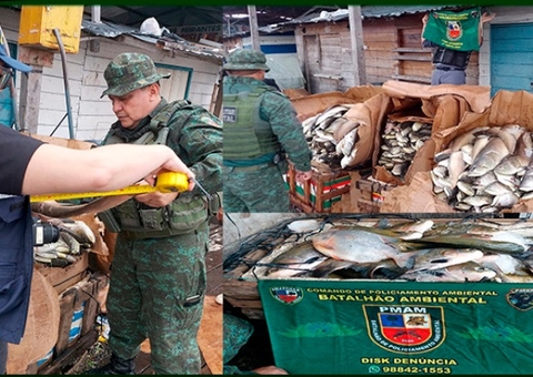 Polícia apreende mais de 1kg de peixes, em período de defeso, na Panair em Manaus