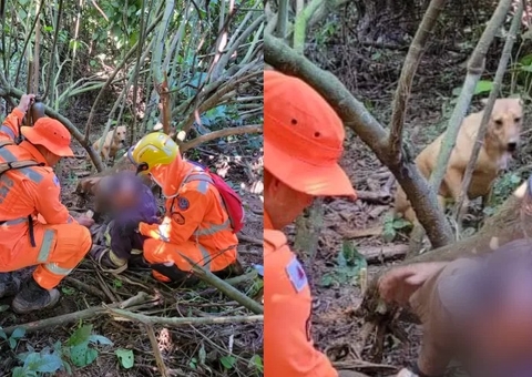 Idoso se perde em mata e é encontrado após ajuda de seu cachorro