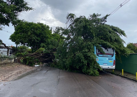 Árvore desaba sobre ônibus com passageiros em meio à tempestade em Manaus