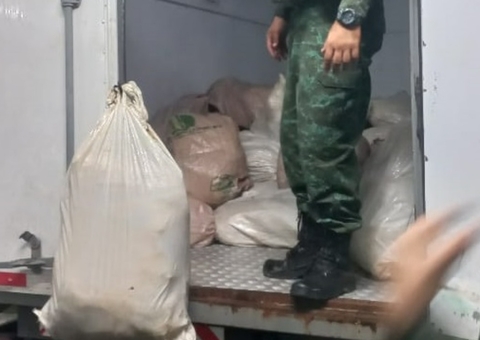 Motorista de caminhão é preso com 3,2 toneladas de pirarucu ilegais no Porto de Manaus