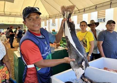 Feiras da ADS têm pescado variado para período de quaresma em Manaus; veja locais
