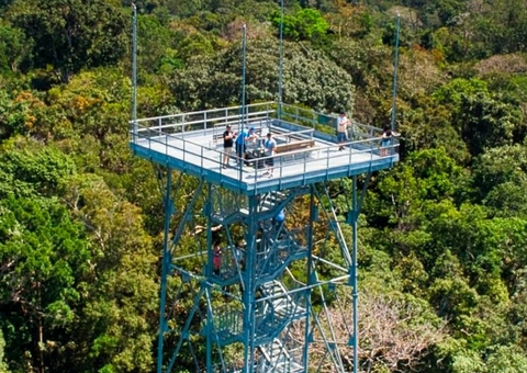 E o Prêmio Nobel Verde vai para ....  Manaus! 