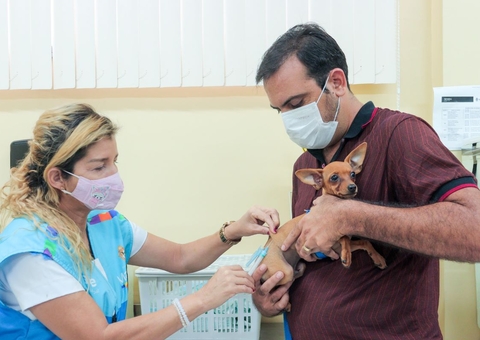 Saiba onde levar seu pet para receber vacina antirrábica em Manaus