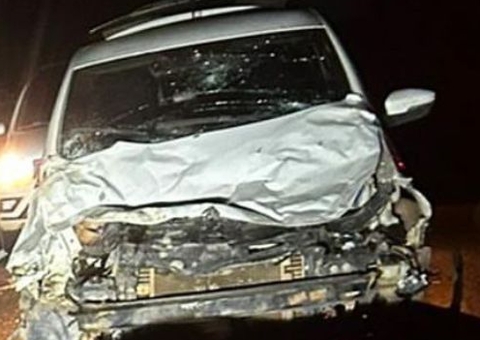 Carro fica destruído ao colidir com búfalos na BR-319, no Amazonas