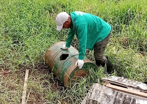 Amazonas acumula 5.206 casos de dengue e 4 mortes pela doença