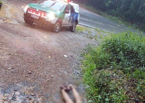 Mulher é encontrada morta com marcas de tiros em beira de ramal em Manaus