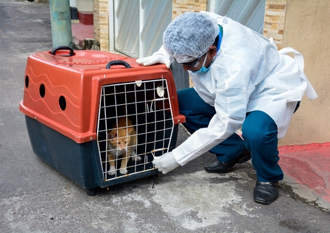 Perfil epidemiológico da esporotricose é apresentado para o CMS/Manaus  
