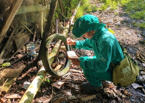 Sobe para 5.746 número de casos de dengue no Amazonas 