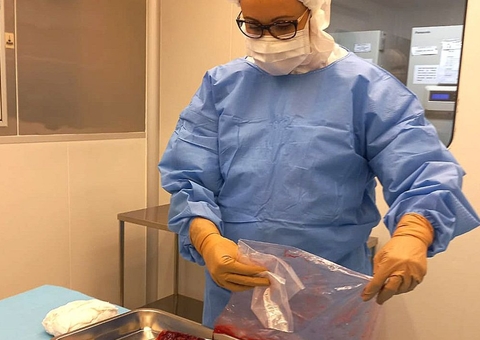 Pesquisa desenvolve curativos biológicos à base de placenta