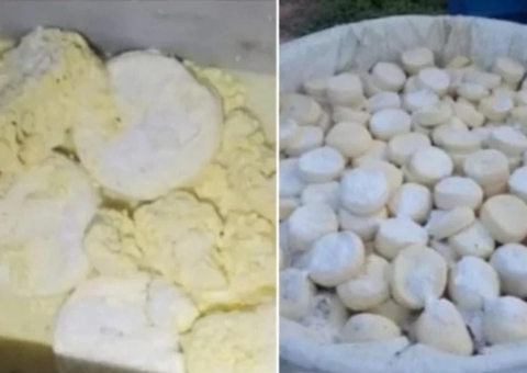 Onze toneladas de queijo que seria vendido com tapuru e fezes de ratos são apreendidas