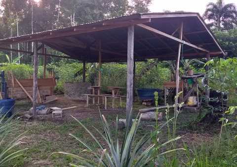 Justiça suspende reintegração de posse no Amazonas