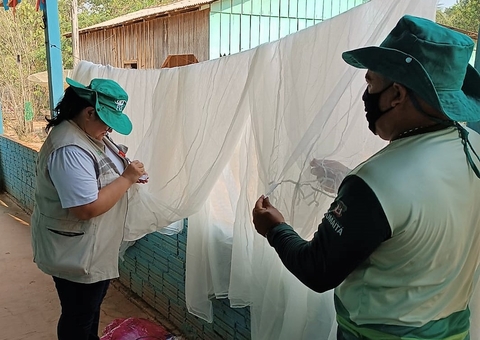 Amazonas lidera casos de malária no Brasil; campanha incentiva combate