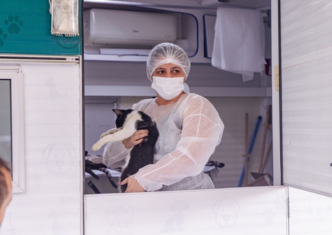 Calendário de agendamento para castração de cães e gatos é divulgado em Manaus