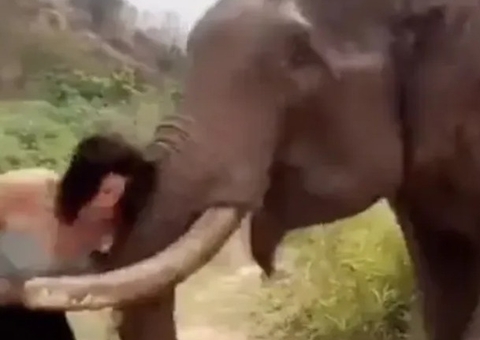 Mulher é arremessada por elefante após provocar animal; Vídeo 