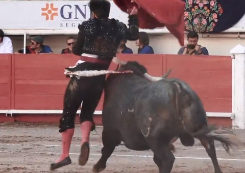 Toureiro é chifrado e escapa de ser esmagado por animal de 600 kg; vídeo