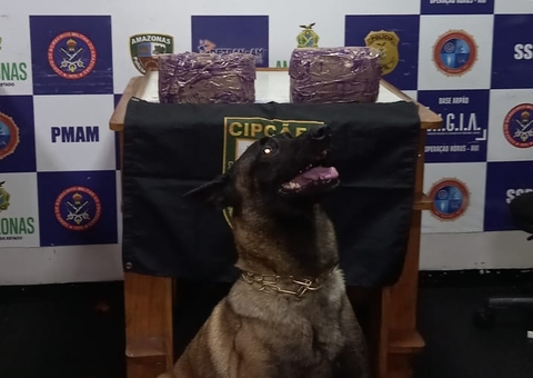 Drogas avaliadas em mais de R$ 240 mil são apreendidas em Coari