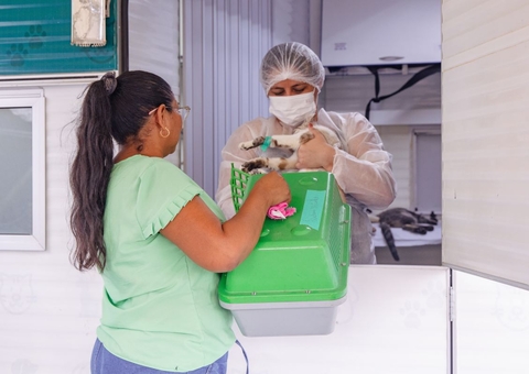 Saiba onde cães e gatos podem tomar vacina antirrábica em Manaus
