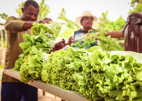 Projeto promove competências para estimular agricultura sustentável entre comunidades de Manaus