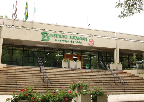 Butantan começa a desenvolver vacina contra gripe aviária